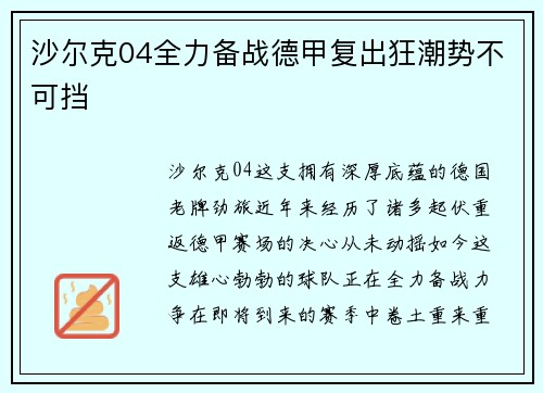 沙尔克04全力备战德甲复出狂潮势不可挡