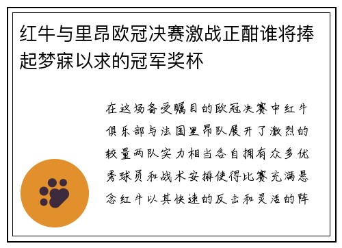 红牛与里昂欧冠决赛激战正酣谁将捧起梦寐以求的冠军奖杯