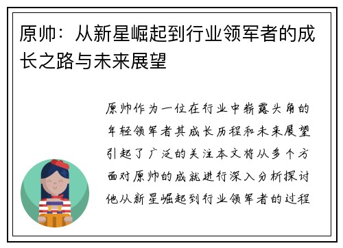 原帅：从新星崛起到行业领军者的成长之路与未来展望