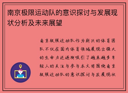 南京极限运动队的意识探讨与发展现状分析及未来展望