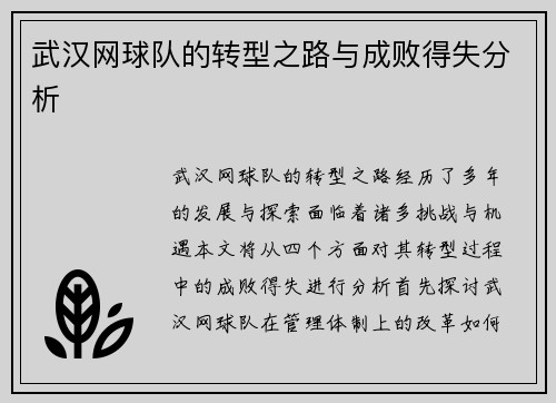 武汉网球队的转型之路与成败得失分析