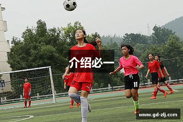 介绍必一